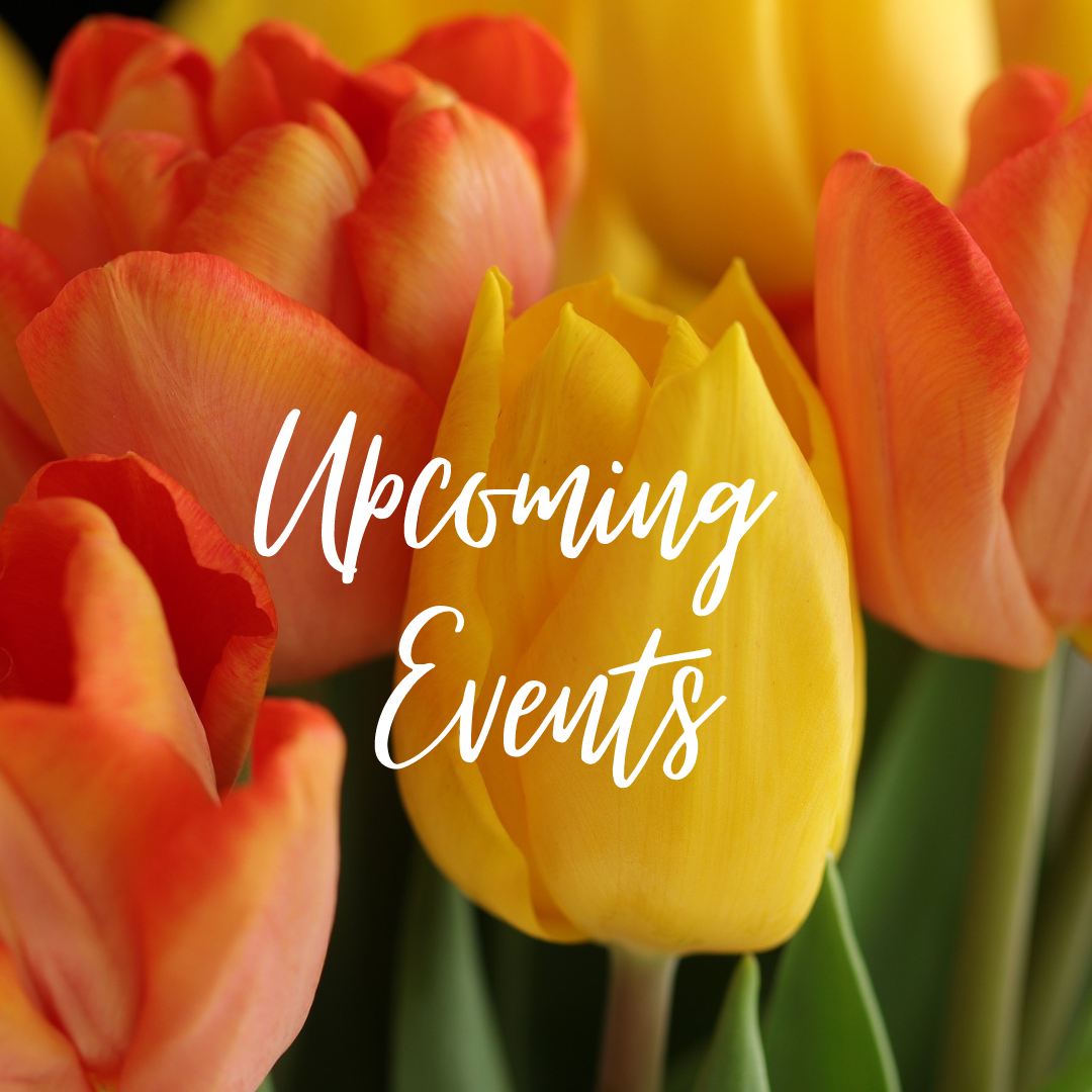 Upcoming Events and Activities in Salt Lake and Utah County